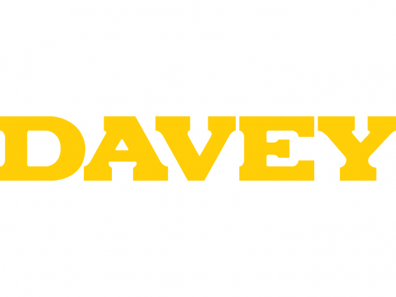 daveylogotypeyellow